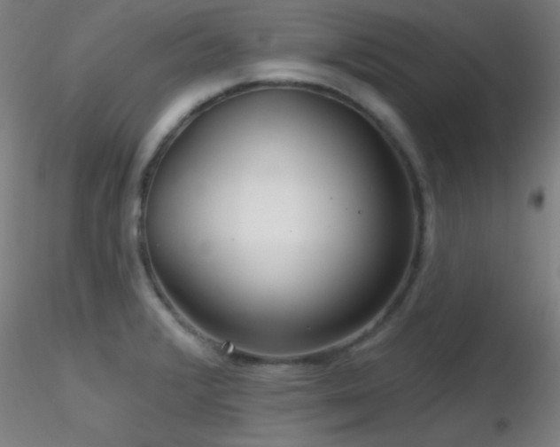 X0000116791376200912181244