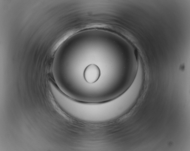 X0000116791377200912181244