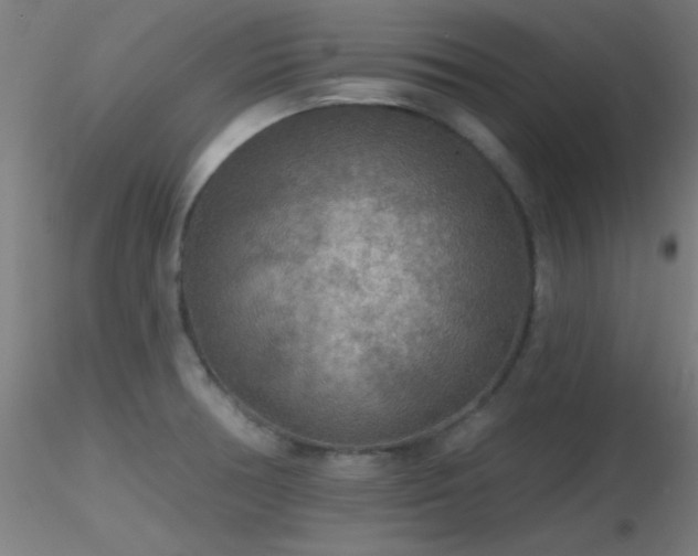 X0000116791378200912181244