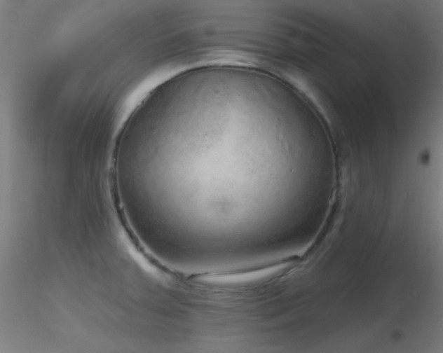 X0000116791379200912181244