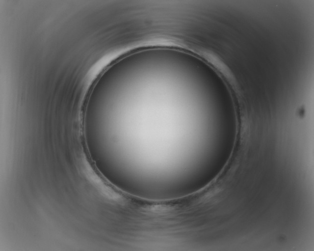 X0000116791380200912181244