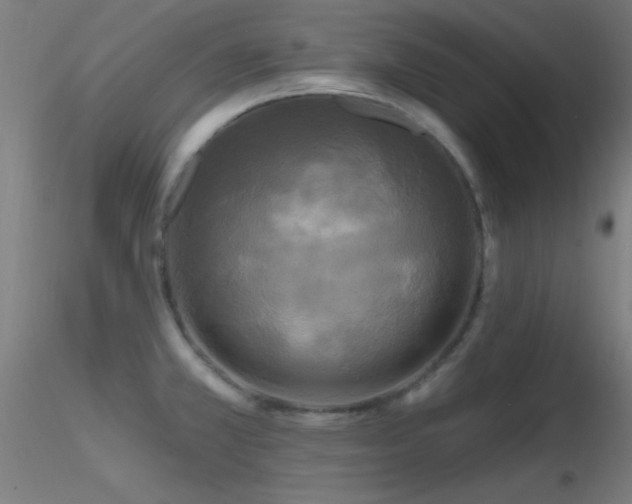 X0000116791381200912181244