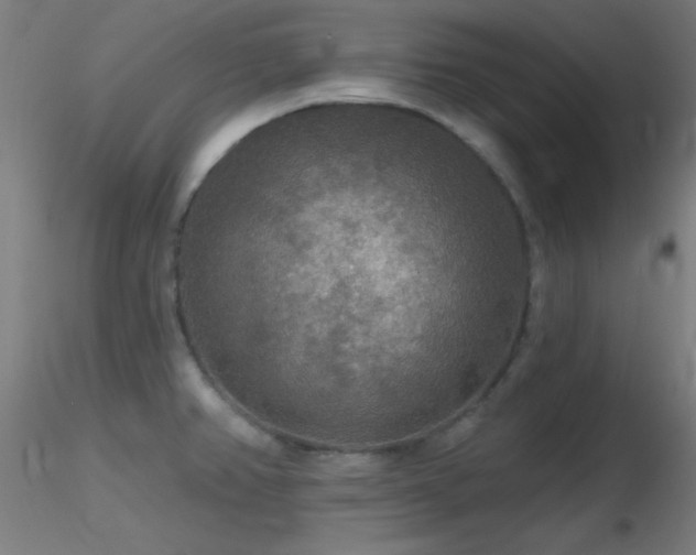 X0000116791382200912181244