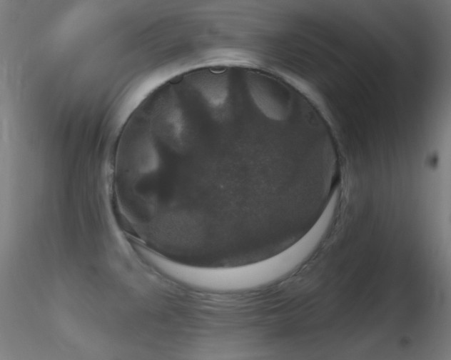 X0000116791383200912181243