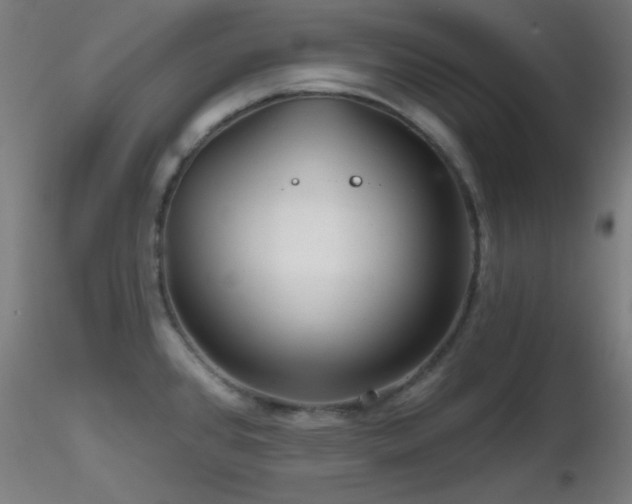 X0000116791384200912181243