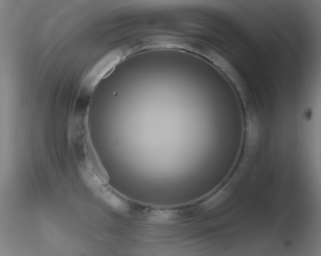 X0000116791385200912181243
