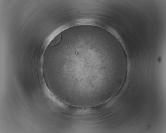 X0000116791386200912181243