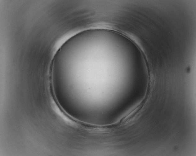 X0000116791387200912181243