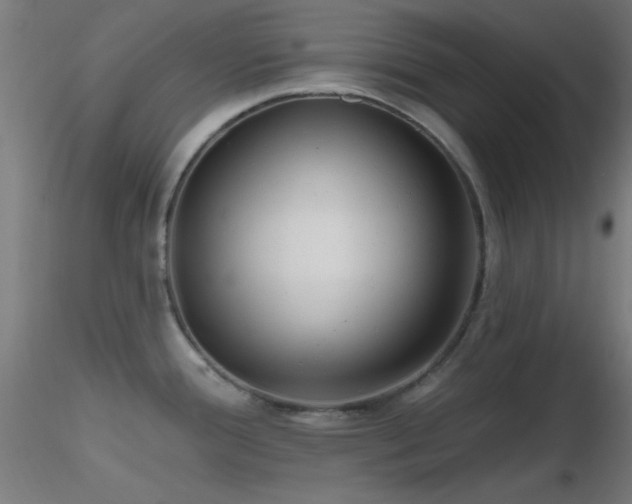 X0000116791388200912181243