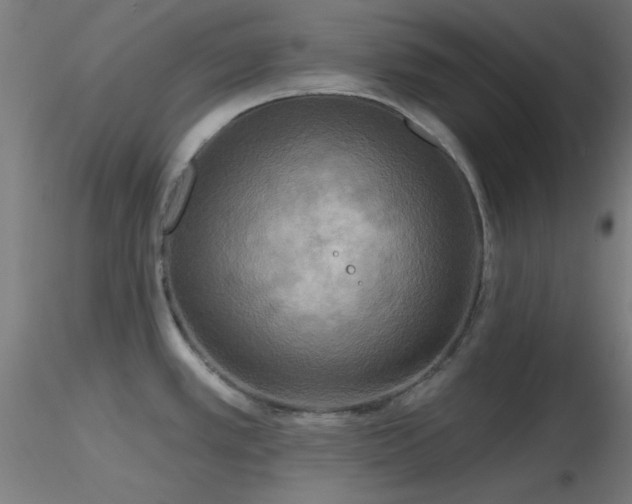 X0000116791389200912181243
