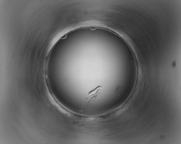 X0000116791390200912181243