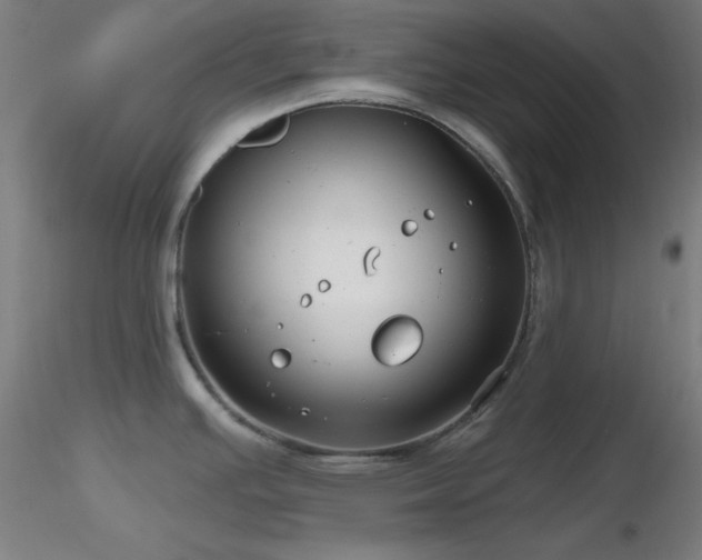 X0000116791391200912181243