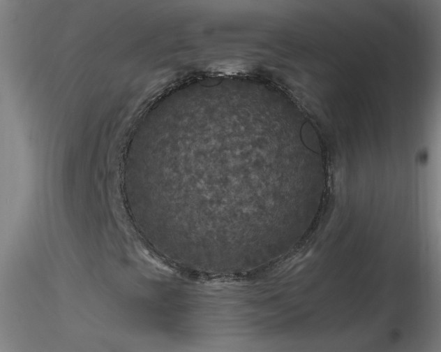X0000116791393200912181243