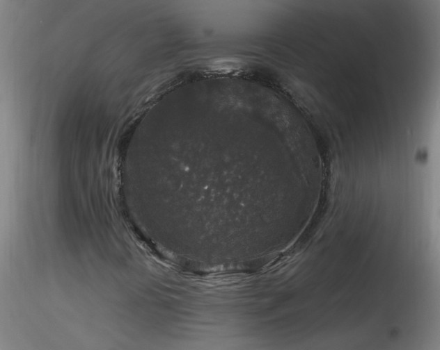 X0000116791394200912181243