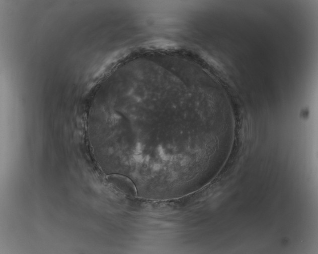 X0000116791397200912181243