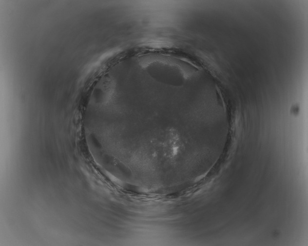 X0000116791398200912181243