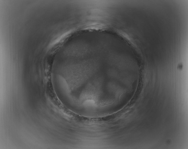 X0000116791399200912181243