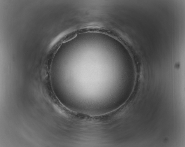 X0000116791400200912181243