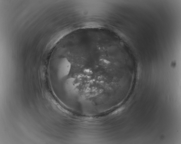 X0000116791401200912181243