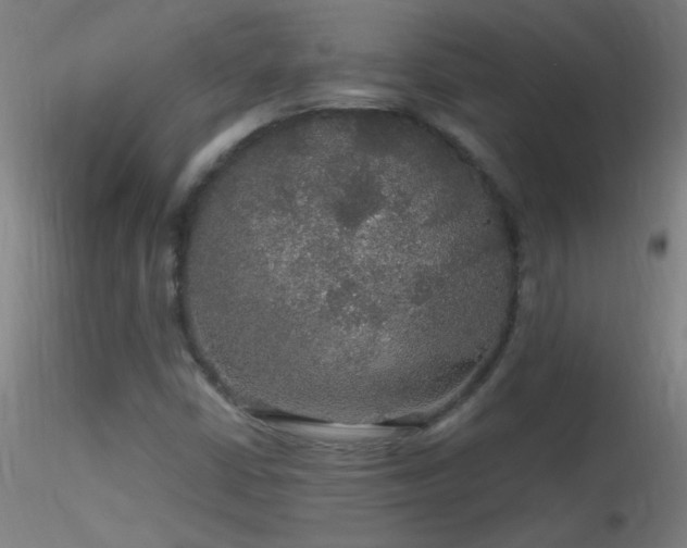X0000116791402200912181243