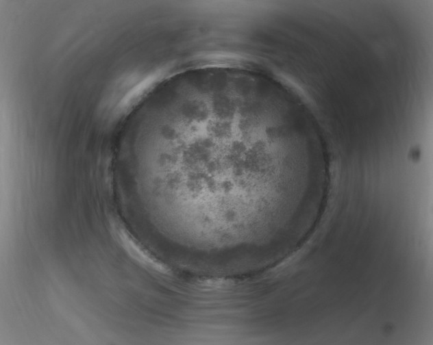X0000116791403200912181243