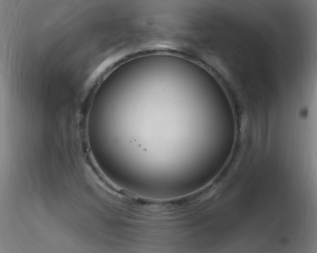 X0000116791404200912181243