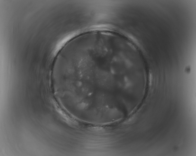 X0000116791405200912181243