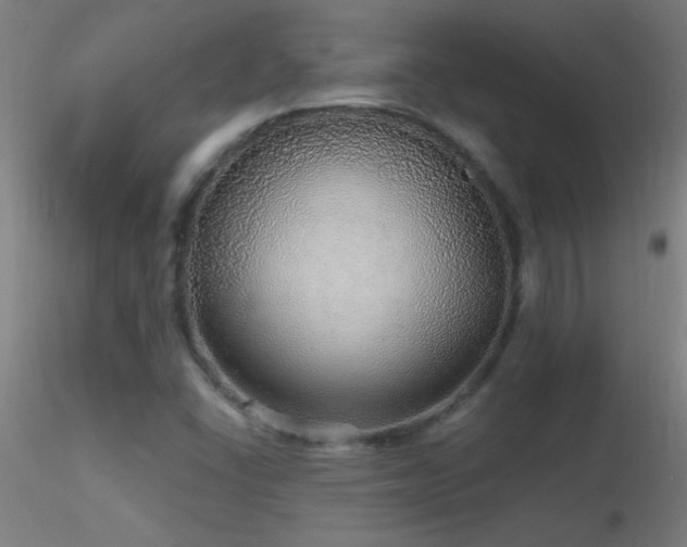 X0000116791406200912181243