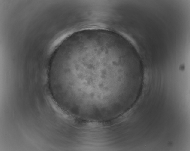 X0000116791407200912181243