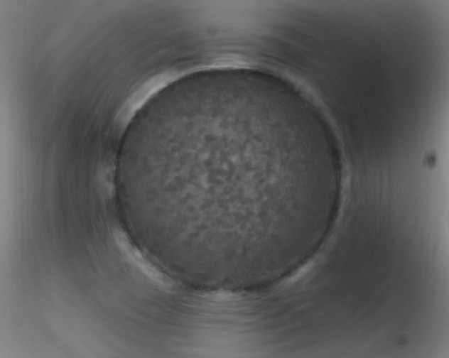 X0000116791409200912181243