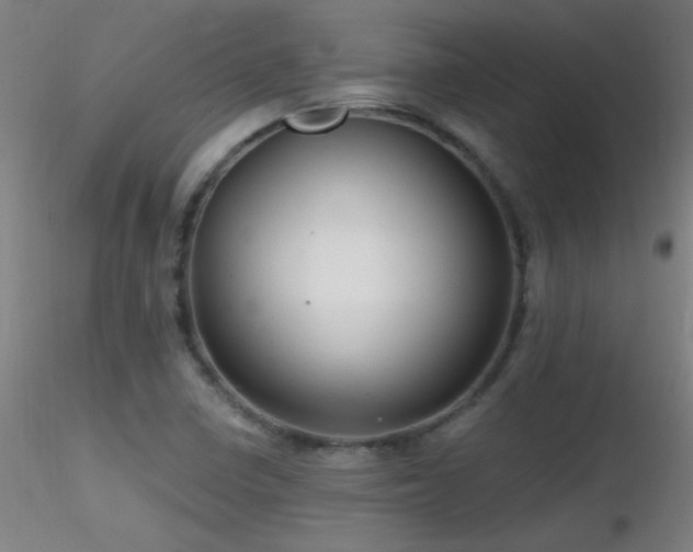 X0000116791410200912181243