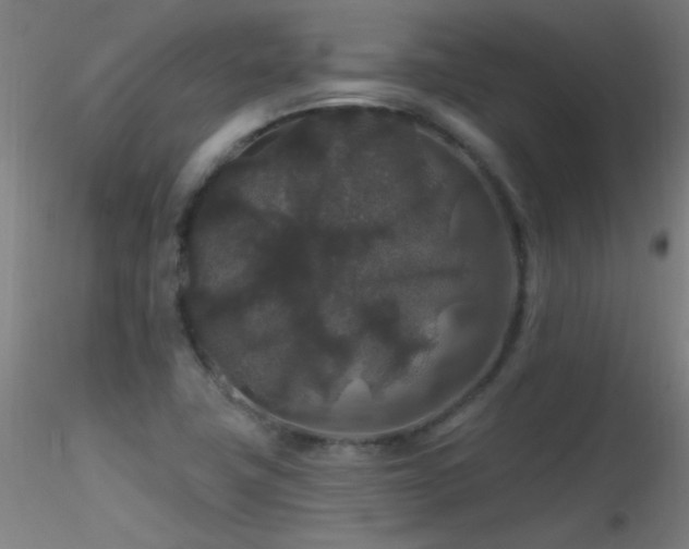 X0000116791411200912181243