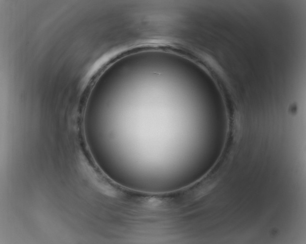 X0000116791412200912181243