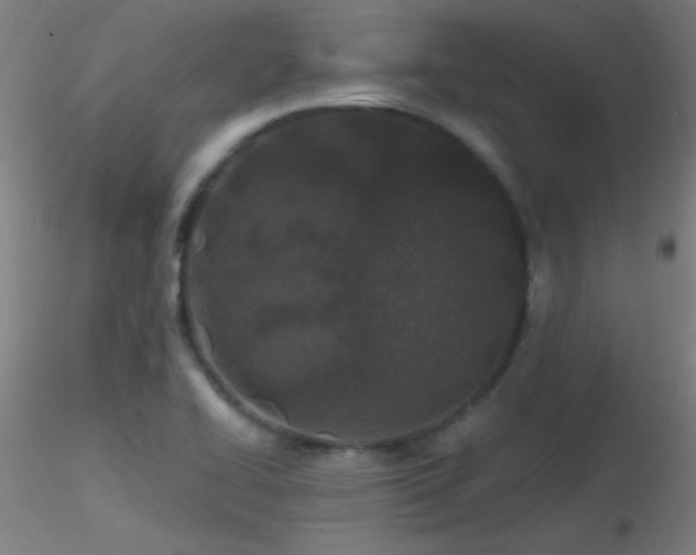 X0000116791414200912181243