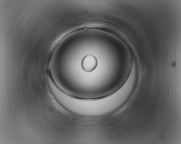X0000116791417200912181243