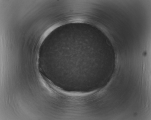X0000116791418200912181243