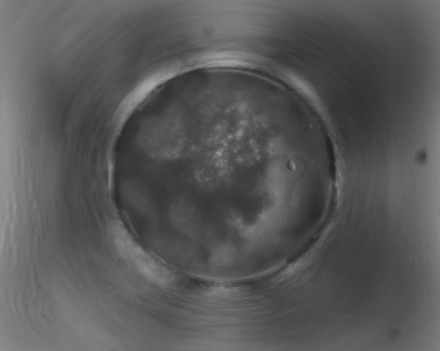 X0000116791419200912181243