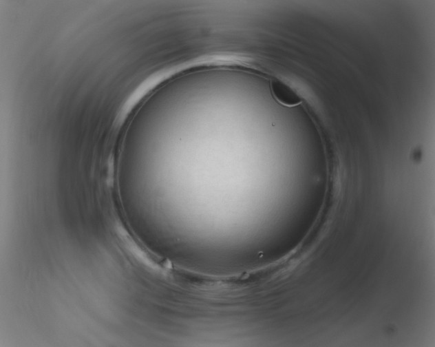 X0000116791420200912181243