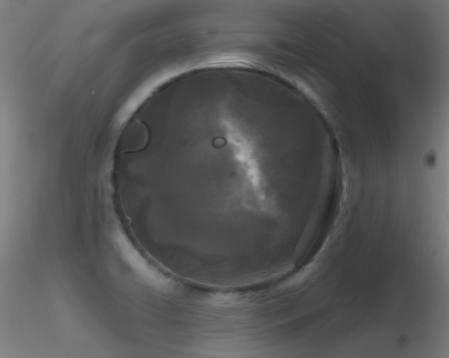 X0000116791422200912181243
