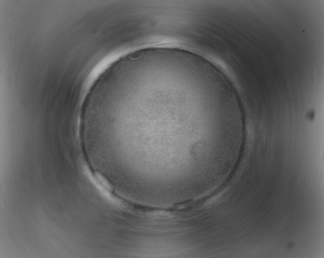 X0000116791424200912181243