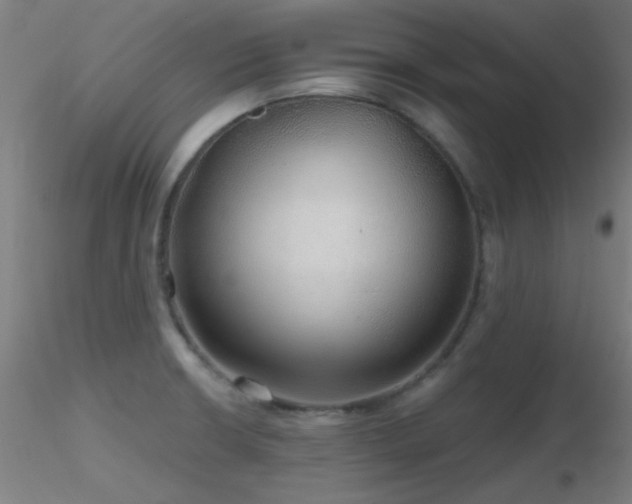 X0000116791426200912181243