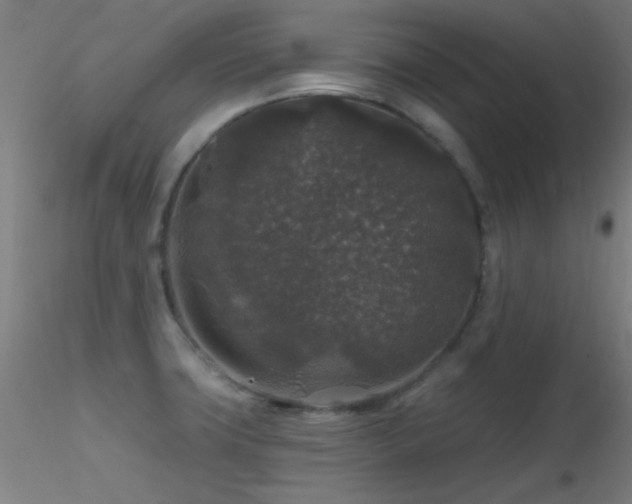 X0000116791427200912181243