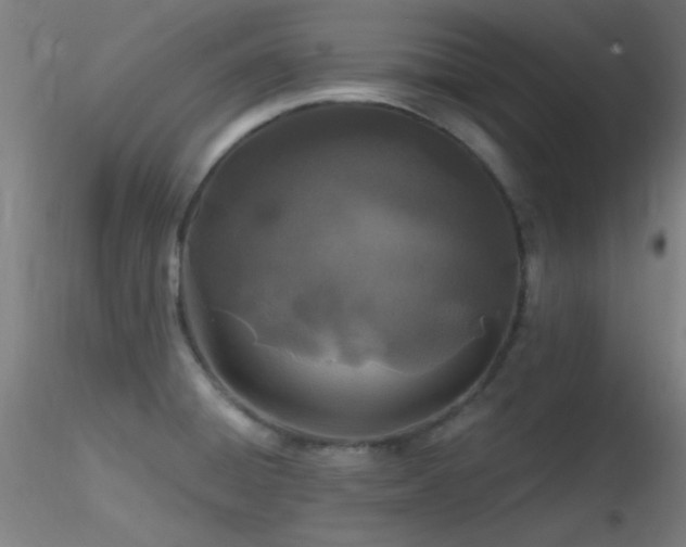 X0000116791428200912181243