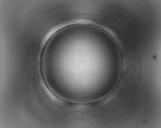 X0000116791430200912181243