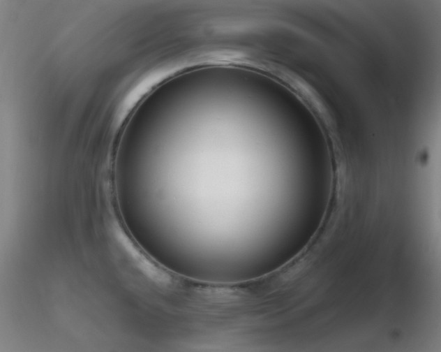 X0000116791432200912181243