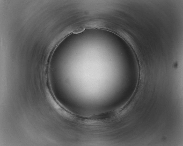 X0000116791434200912181243