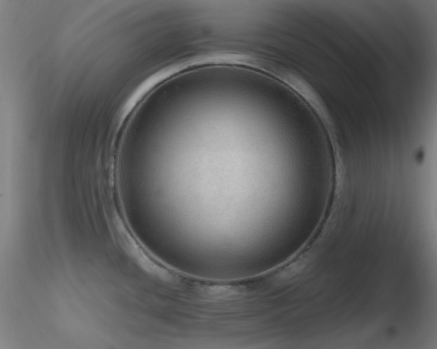 X0000116791436200912181243
