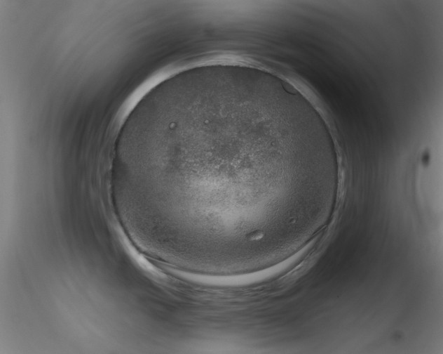 X0000116791438200912181243