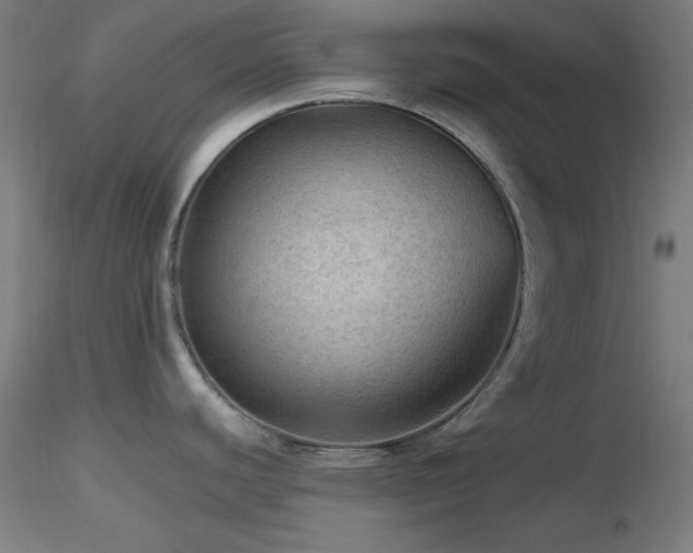 X0000116791440200912181243