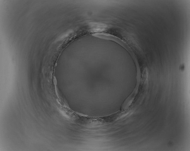 X0000116791441200912181243